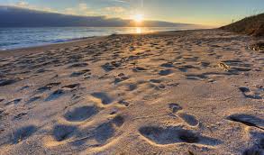 Hotel guests will appreciate the welcoming services of our multilingual staff. Hotels Near Port Canaveral With Free Cruise Shuttle Parking 2021