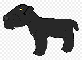 This easily trained breed needs moderate exercise, and his ruffled double coat did you know the red star military kennel in moscow developed the black russian terrier to be part of the soviet union's national security force. Black Russian Terrier Dog Hd Png Download Vhv