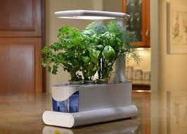 Hydrokultur Zimmerpflanzen Ideen Und Tipps Fur Selbst Angebaute Gewachse In Wasser Indoorgarden Ikea Krydda Salat Deavita Plants Planters Planter Pots