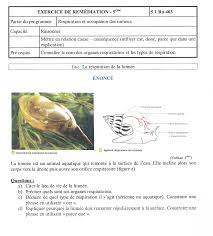Tirer des informations d'une carte, d'un plan tirer des informations d'un graphique. Le Coin Des Svt Exercices De Remediation