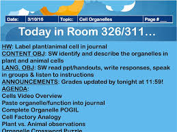 Cell organelle crossword puzzle answer key. 3 10 16 Admit Slip Cut Out The Organelle Squares And Don T Lose Any Cut Them Quickly Don T Be Super Precise Date 3 10 16 Topic Cell Organelles Ppt Download