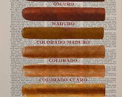 Cigar Size Chart Dictionary Art Print Shape Smoke Cigars