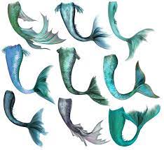Free Image On Pixabay Mermaid Fish Tail Merrow Mermaid Artwork Mermaid Images Mermaid Tail Drawing
