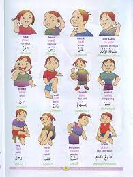 Pencarian kata yang cepat ; All Categories Coverefira