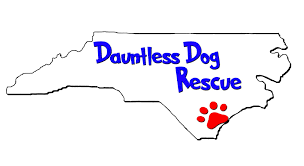 Cavapoo puppies~ready now~rehoming fee of $150.00 we have 3 cavapoo young puppies cavachon puppies available for sale in north carolina from top breeders and individuals. Dauntless Dog Rescue Home Facebook
