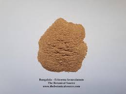 Image result for Eriosema pentaphyllum