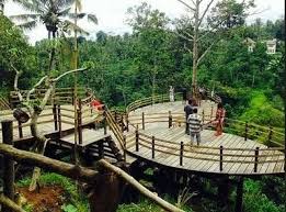 Wisata alam di bandar lampung. Mengintip Puncak Mas Sukadanaham Tempat Wisata Baru Di Bandar Lampung Jelajah Lampung