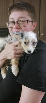 Lost pet named Shorty in CG area