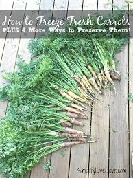 We did not find results for: How To Preserve A Bumper Crop Of Carrots Simplify Life Love