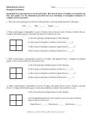 D2ct263enury6roudfront spongebob genetics sciencespot answers genetics keystone quiz. Andrew Miller Am112786 Bikini Bottom Genetics Pdf Andrew Miller Am112786 Name Bikini Bottom Genetics Incomplete Dominance Spongebob Loves Growing Course Hero