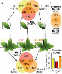 Check spelling or type a new query. Systemic Signaling During Abiotic Stress Combination In Plants Pnas