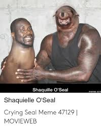 Flight time (minutes) the average amount of time video recording quality of video recordings. 25 Best Memes About Seal Crying Seal Crying Memes