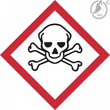 The meaning of the skull described in himmler's accompanying letter: Ghs Symbol 06 Totenkopf