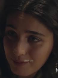 სულის ვარდო