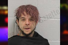 Tanner Carson — Carroll County Jail Bookings