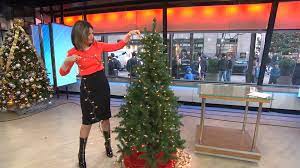 Should You Be Hanging Your Christmas Tree Lights Vertically