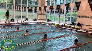Check out the full list of swimming camps to see what opportunities are out there. Gator Swim Club Gatorswimming Twitter