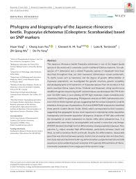 Pdf Phylogeny And Biogeography Of The Japanese Rhinoceros Beetle Trypoxylus Dichotomus Coleoptera Scarabaeidae Based On Snp Markers