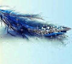 Feathers A Sign Angels Are Among Us Blue Feather Pictures Cool Pictures