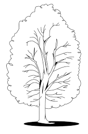 فروع شجر للتلوين