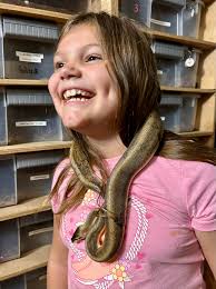 Black Pegasus and teal dragon are finally coming Wednesday!!