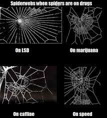 Maybe you would like to learn more about one of these? Nasa Study Tested How Drugs Affected Spiders And Their Webs Caffeine Included Techeblog