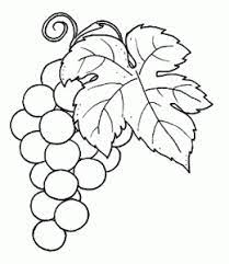 Uva Uva Dibujo Bordado De Frutas Dibujos De Frutas