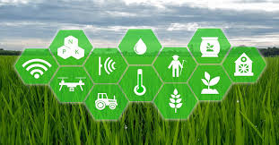 Image result for Agriculture