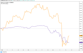 So a comedown from that hype is not too surprising. Is Bitcoin Going Up Or Down