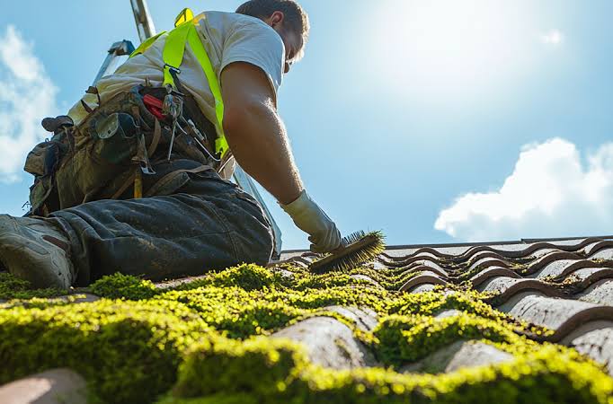 Complete Guide to Roof Moss Removal and Prevention - UpClean