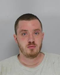 Police: Man crashes car, assaults cop