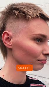 Mullet, Shag, and Wolf Cut Hair Education Seminar