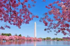 .get into the port authority bus terminal the cheapest way? From New York City To Washington D C 5 Best Ways To Get There Planetware