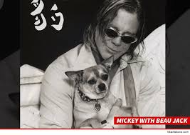 Image result for mickey rourke dog