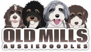 They are sometimes called einstein dogs for their smarts and velcro dogs for their loyalty. Old Mills Aussiedoodles