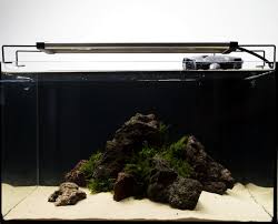 This substrate is only meant for expert aquascape hobbyists, not for the beginners. Low Budget Aquascaping Aquascaping Wiki Aquasabi