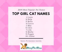 Some of them are not going to be surprising at all, while others may shock you a bit. Most Popular Pet Names Of 2019 Woofpurnay Veterinary Hospital Professional Compassionate Care Emergency Vet