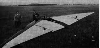 And why they shouldn't be hoarding their ale. 3 Horten Ho I By Horten Brothers Germany Download Scientific Diagram