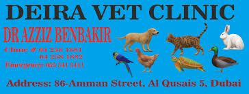 We did not find results for: Deira Veterinary Clinic Home Facebook