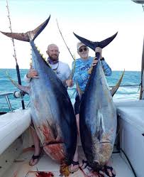 Pin By Tylen Hall On Fish Fish Fishing Report Yellowfin Tuna