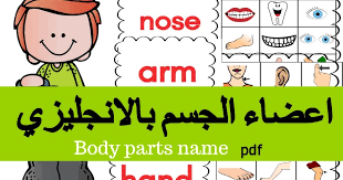 أفضل المواقع المخصصة لتعلم الإنجليزية للأطفال بطرق تفاعلية وبواسطة الألعاب التعليمية المفيدة، مواقع مفيدة سوف نقوم ان شاء الله بعرض أفضل المواقع التي تقدم لكم خدمة تعليمية بسيطة مناسبة للأطفال وكذلك للمبتدئين من الكبار، أولائك الذين. ØªÙ‚Ù†ÙŠØ§Øª ØªØ¹Ù„ÙŠÙ… Ø§Ù„Ù„ØºÙ‡ Ø§Ù„Ø§Ù†Ø¬Ù„ÙŠØ²ÙŠÙ‡ Ù„Ù„Ø§Ø·ÙØ§Ù„ Ø§Ø¬Ø²Ø§Ø¡ Ø¬Ø³Ù… Ø·Ø±Ù‚ ØªØ¯Ø±ÙŠØ³ Ø§Ù„Ø§Ù†Ø¬Ù„ÙŠØ²ÙŠ Ù„Ù„ØµÙ Ø§Ù„Ø£ÙˆÙ„ Ø§Ù„Ø§Ø¨ØªØ¯Ø§Ø¦ÙŠ