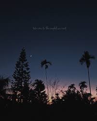 Take Me To The Night We Met Skies Quotes Sky Quotes Night Sky Quotes Quote Backgrounds