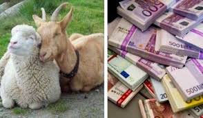 Subventii ovine 2017 cand se fac platile. Cerere UnicÄ Apia 2019 Actele Obligatorii Pentru Cea Mai Mare SubvenÈie La Ovine Èi Caprine Agroinfo Ro