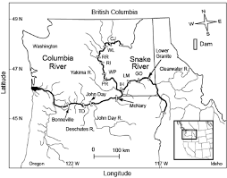 British columbia topographic maps are available online at 1:250,000 and 1:50,000 scale. Map Of The Columbia And Snake Rivers Showing Main Stem Dams And Major Download Scientific Diagram