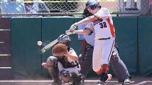 Huntington Valley prevails in extra innings