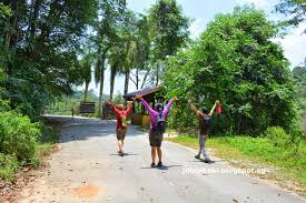 Sesuai untuk dijadikan rujukan bagi pendaki. Trekking At Hutan Lipur Gunung Pulai Recreational Forest In Johor Malaysia Johor Kaki Travels For Food