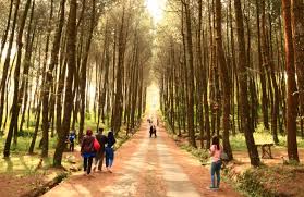 Di sana, setiap pengunjung bisa mandi dengan air panas di alam bebas. 30 Tempat Wisata Di Bogor Paling Hits Favorit Dikunjungi Tahun Ini