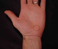 Image result for Hamate Bone