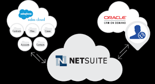 Netledger accounting software was hosted on the web, forming the foundation for what goldberg envisioned as a unified software. Netsuite Integration Connector Free Trial Informatica