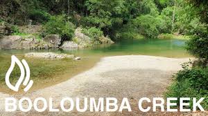 Booloumba Creek Camping Areas 1 2 3 Conondale National Park Qld Youtube